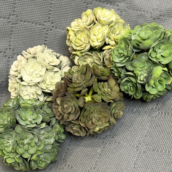 Home Decor Set of 5 Green & Cream Succulent Decorative Balls Floral Elegant NWOT - Picture 4 of 9